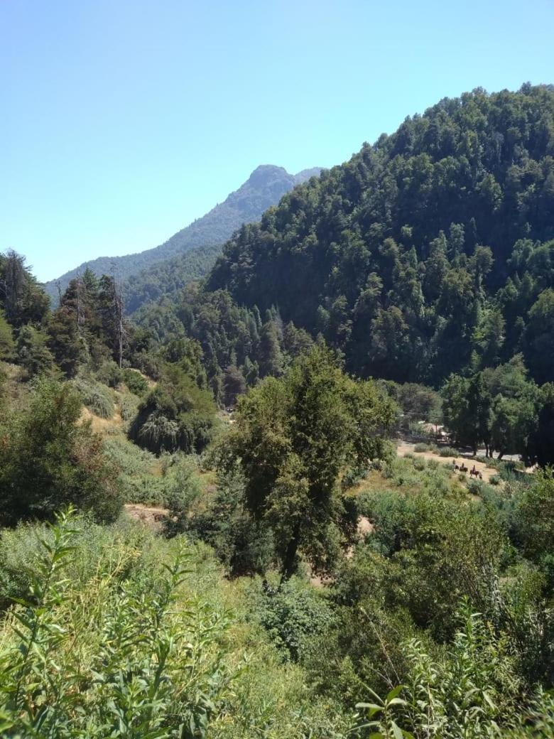 Cabanas El Toro - Radal Siete Tazas Molina  Dış mekan fotoğraf
