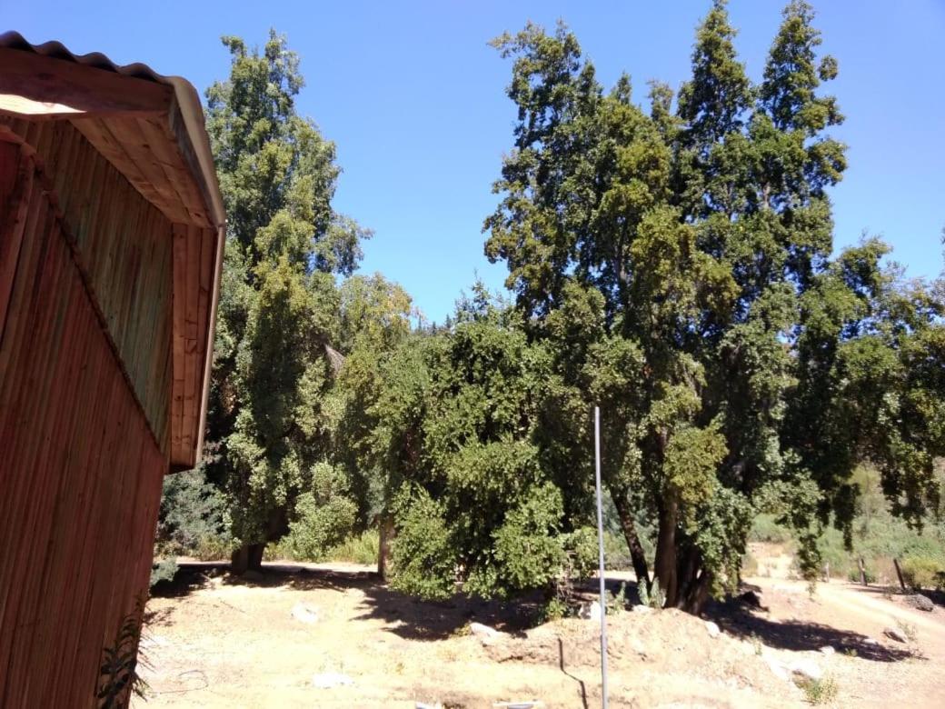 Cabanas El Toro - Radal Siete Tazas Molina  Dış mekan fotoğraf